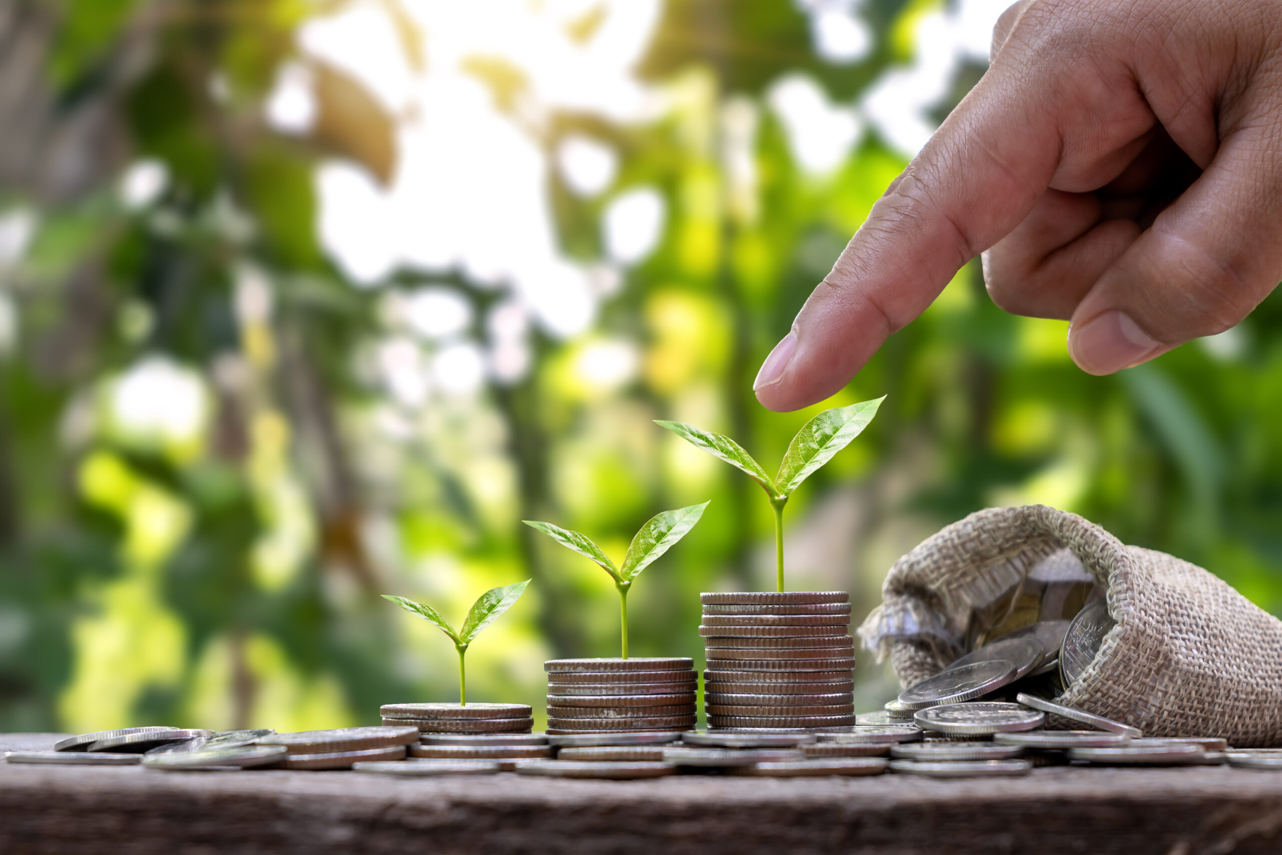 Planting a pile of money trees in sequence includes a woman's hand pointing to a tree on coins, savings and environmental investment ideas.